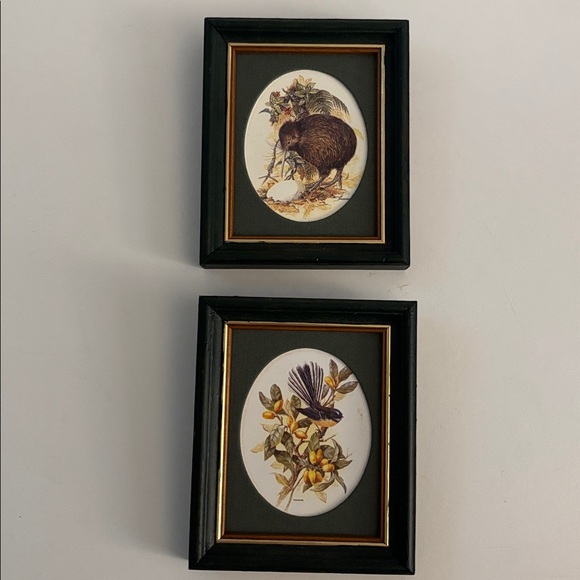 Set of Two Framed Native Birds of New Zealand - Picture 5 of 7